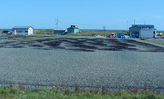20080929-1002hokkaido (8).jpg